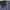 Acne Studios Streetwear Luxury Skirt Wanita multicolor photo 5