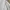 Mulberry Luxury Minimalist Shirt Wanita white photo 6