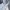 DogTown Vintage Hoody Pria white photo 2