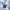 DogTown Vintage Hoody Pria white photo 3