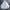 DogTown Vintage Hoody Pria White