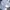 DogTown Vintage Hoody Pria white photo 5