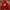 Vintage Hoody Pria red photo 1