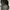 Porter Yoshida Minimalist Bag Pria black photo 6
