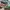 Vivienne Westwood Bags & purse Wanita green photo 5