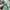 Vivienne Westwood Bags & purse Wanita green photo 4