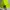 Streetwear Hat Pria Green