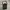 Oakley Gorpcore Bag Pria Black