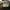 Von Dutch Bags & purse Wanita pink photo 4