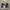 New Balance Casual Sneakers Pria White Black
