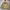 Vintage Bomber jacket Pria tan photo 4