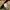 Undercover Streetwear Casual Bomber jacket Wanita brown photo 5