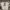 Nike Vintage Streetwear T-shirt Pria white black photo 2