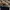 Timberland Luxury Casual Polo shirt Pria navy photo 7