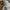 Timberland Luxury Casual Polo shirt Pria white photo 5