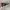 Oakley Streetwear Y2K Sunglass Pria gold black photo 2