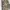 Vintage Fur Coat Pria Multicolor