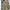 Vintage Fur Coat Pria Multicolor