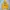 Streetwear Hoody Pria yellow photo 1