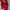 A Bathing Ape Streetwear Luxury Sweatshirt Pria white red photo 8