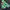 Y2K Skater Sweater Pria green black photo 5