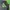 Y2K Skater Sweater Pria green black photo 2