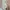 Kronikel Project Sportswear Casual Sneakers Wanita white tan cream photo 1