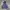 Streetwear Fleece Pria Blue
