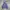 Streetwear Fleece Pria blue photo 3