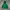 Uniqlo Streetwear Fleece Pria Green