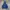 Uniqlo Streetwear Fleece Pria blue photo 3