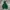 Streetwear Fleece Pria Green