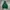 Streetwear Fleece Pria green photo 3