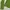 DKNY Jersey Wanita green gray photo 4