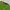 DKNY Jersey Wanita green gray photo 2