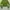 DKNY Jersey Wanita green gray photo 5