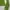 DKNY Jersey Wanita green gray photo 3