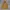 Lafuma Casual Track jacket Pria brown yellow photo 2