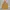 Lafuma Casual Track jacket Pria brown yellow photo 7