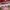 Casual Muslim Kids multicolor photo 4