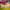 Casual Muslim Kids multicolor photo 5