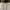 ZARA Luxury Shirt Wanita white photo 2