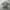 1096. T shirt Kaos MISSONI photo 7