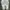 New Balance Casual Sneakers Pria white gray photo 4