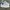 New Balance Casual Sneakers Pria White Gray