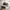 Nike ACG Gorpcore Sportswear Hat Pria tan photo 1