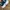 Asics Sportswear Sneakers Pria navy photo 3