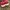Nike Air Jordan Y2K Sneakers Pria red photo 5
