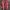 Asics Sportswear Sneakers Pria red photo 4