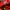 Asics Sportswear Sneakers Pria red photo 5